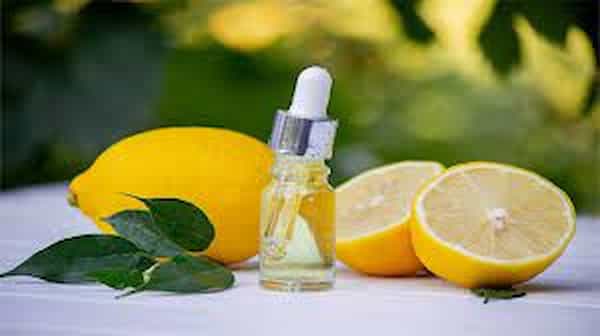 تصویر 2 از خرید اسانس طبیعی لیمو ترش + قیمت فروش استثنایی